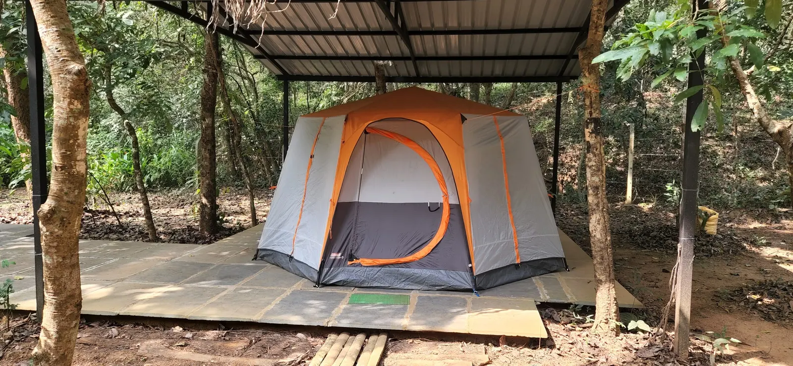 A family-sized tent under a forest shelter